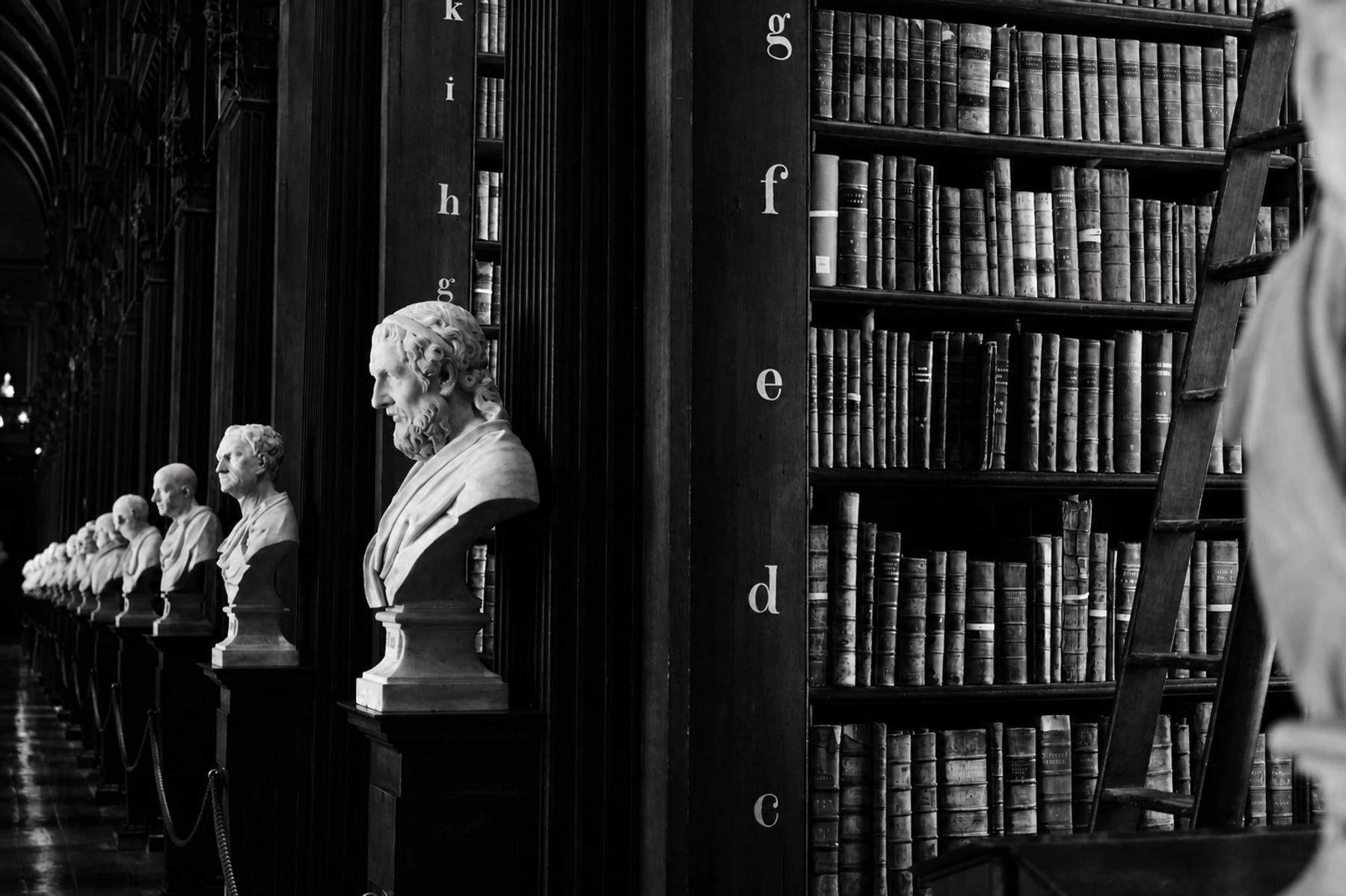 Intellectual Property Litigation
